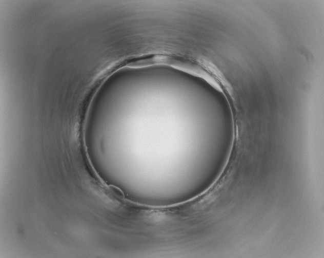 X0000115690249200911251819