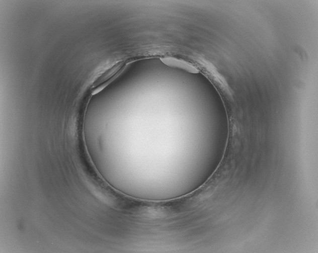 X0000115690250200911251819