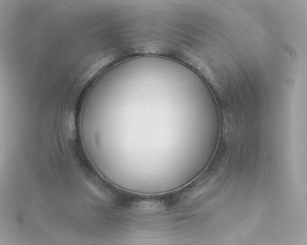 X0000115690251200911251819