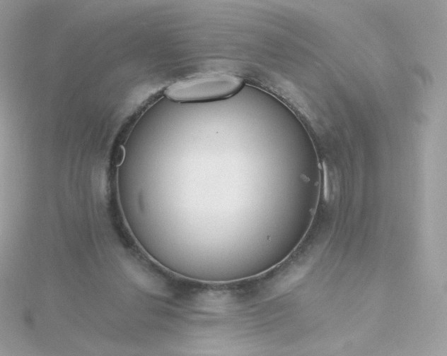 X0000115690252200911251819