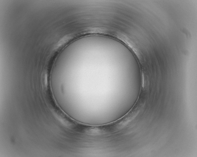 X0000115690253200911251819