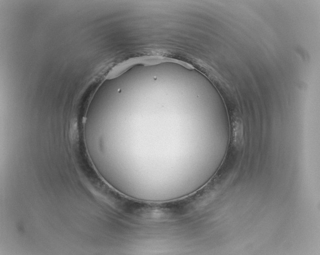 X0000115690254200911251819