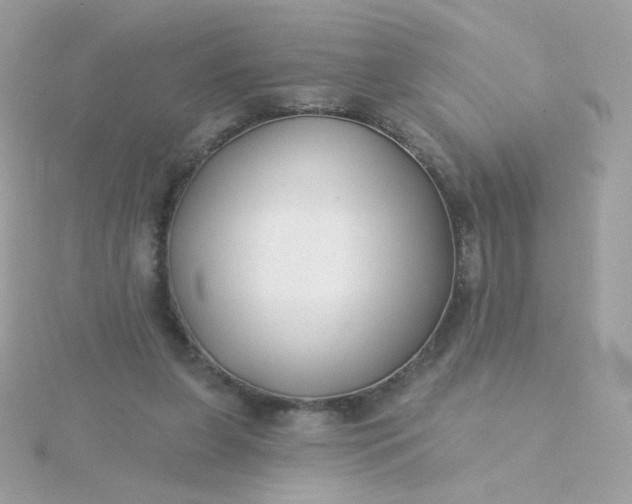 X0000115690255200911251819