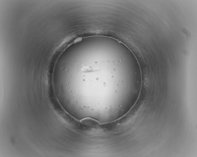 X0000115690256200911251819