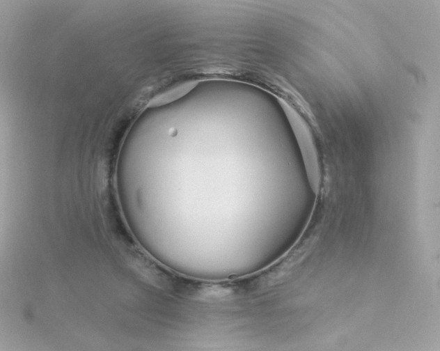 X0000115690257200911251819