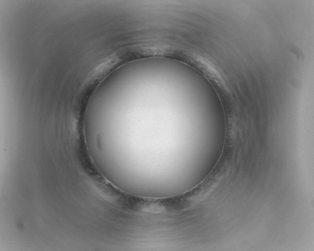 X0000115690258200911251819