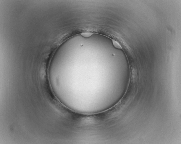 X0000115690259200911251819