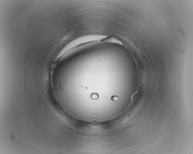 X0000115690260200911251819