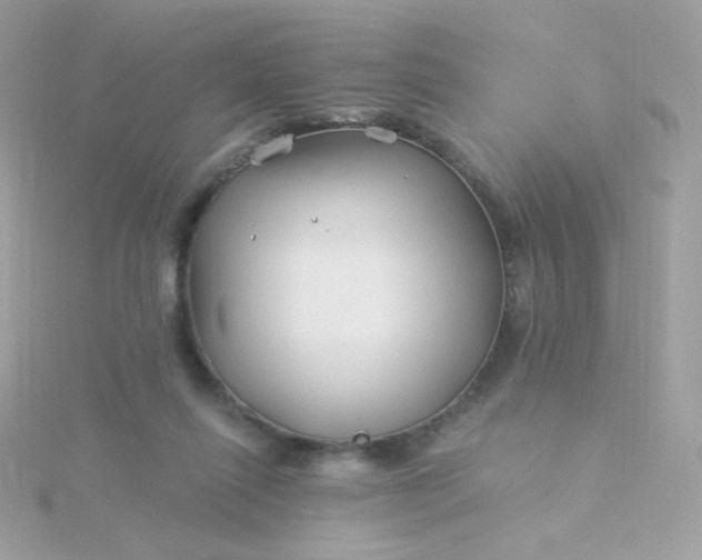 X0000115690262200911251819