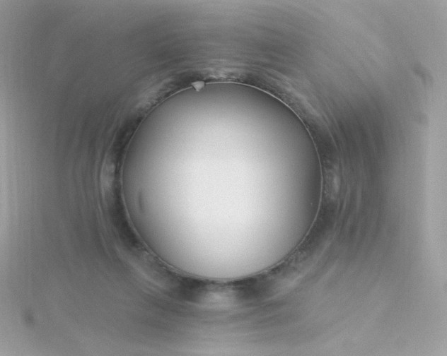 X0000115690263200911251819