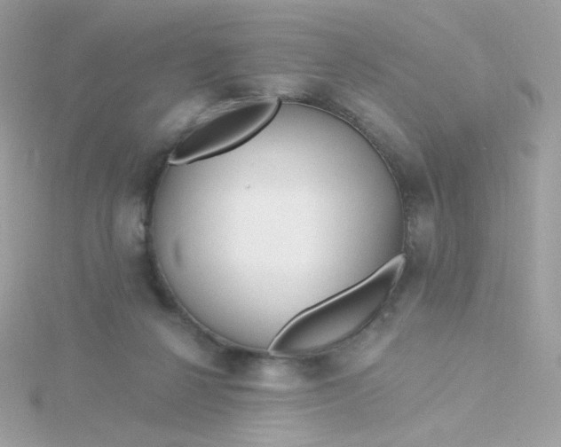 X0000115690264200911251819