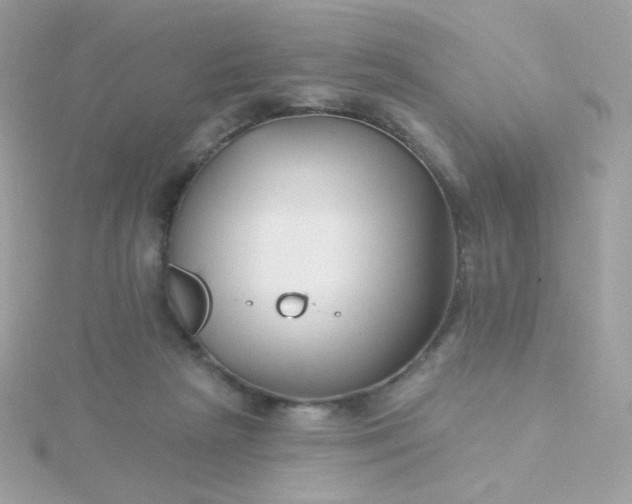 X0000115690265200911251819