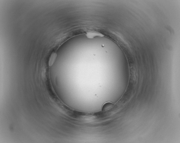 X0000115690266200911251819