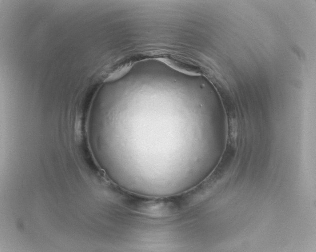 X0000115690267200911251819