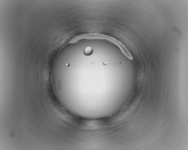 X0000115690268200911251819