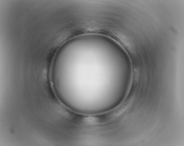 X0000115690269200911251819