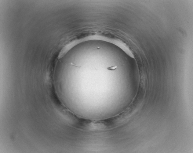 X0000115690270200911251819