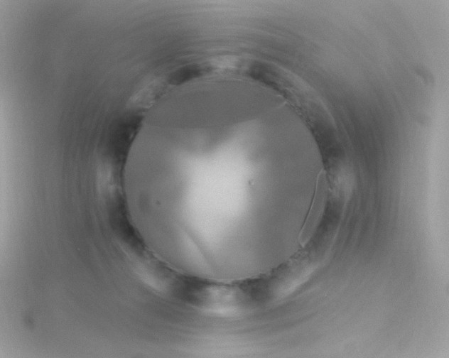 X0000115690272200911251819