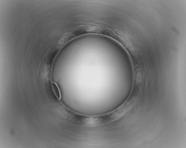 X0000115690273200911251819