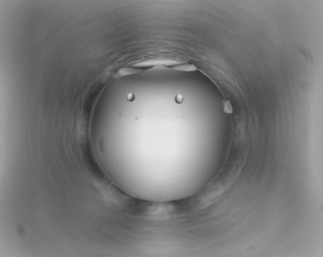 X0000115690274200911251819