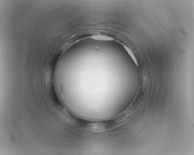 X0000115690275200911251819