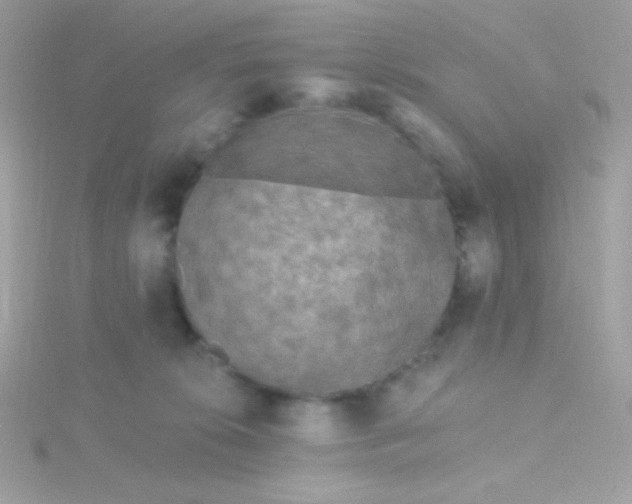 X0000115690276200911251819