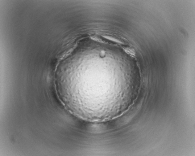 X0000115690277200911251819