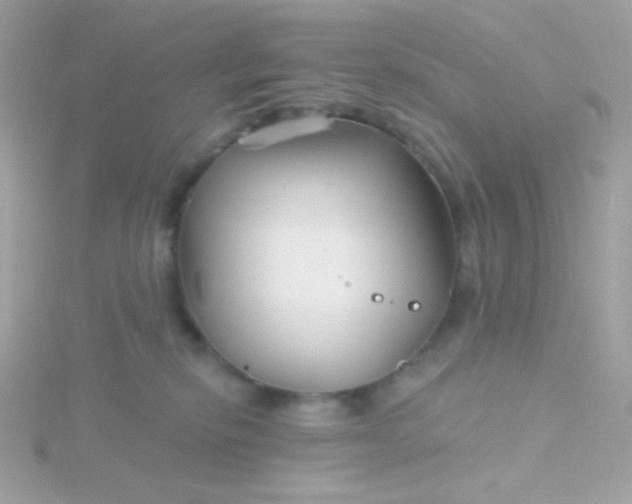 X0000115690278200911251819