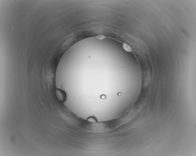 X0000115690279200911251819