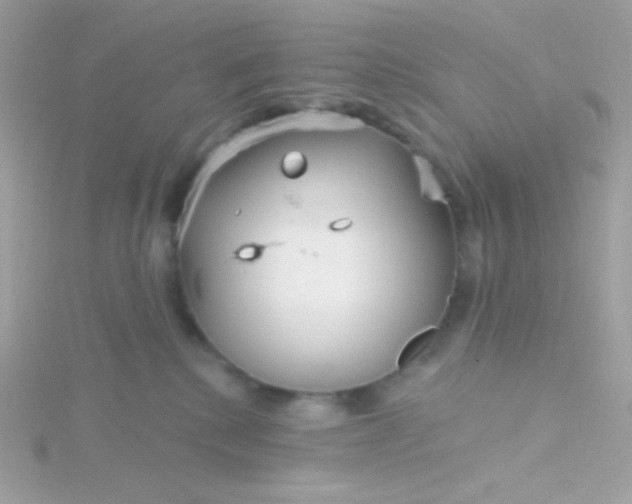 X0000115690280200911251819