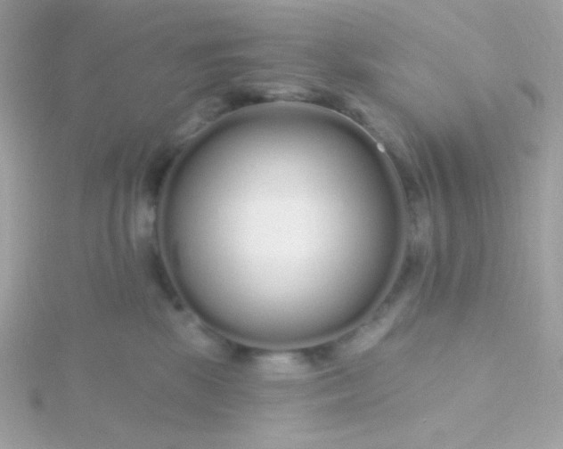 X0000115690281200911251819