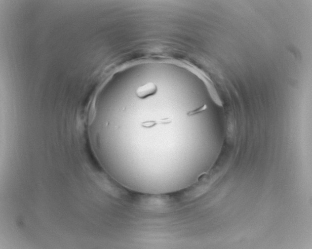 X0000115690282200911251819