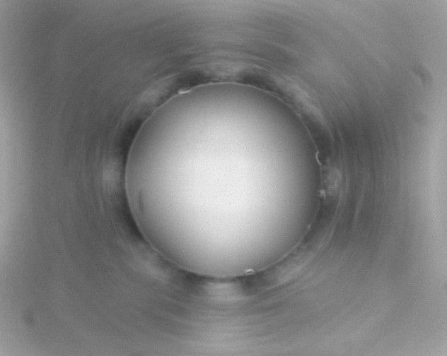 X0000115690283200911251819