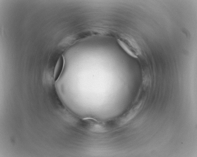 X0000115690285200911251819