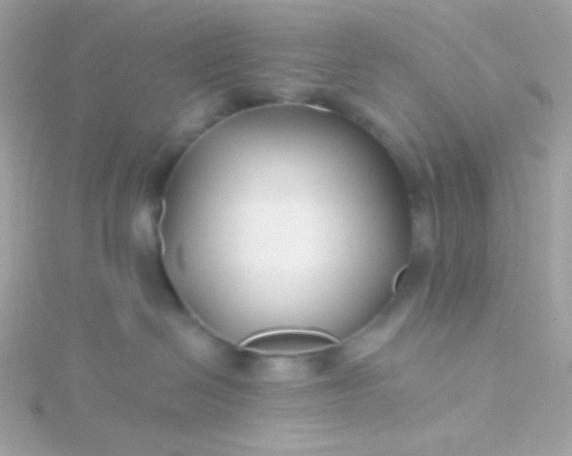 X0000115690286200911251819