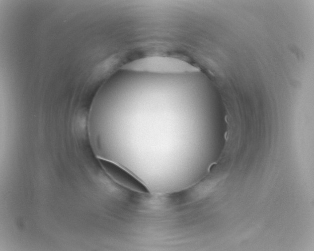 X0000115690288200911251819