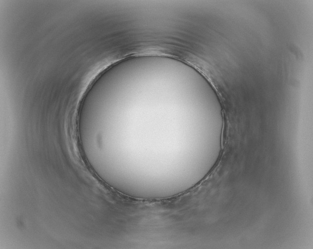 X0000115690289200911251819