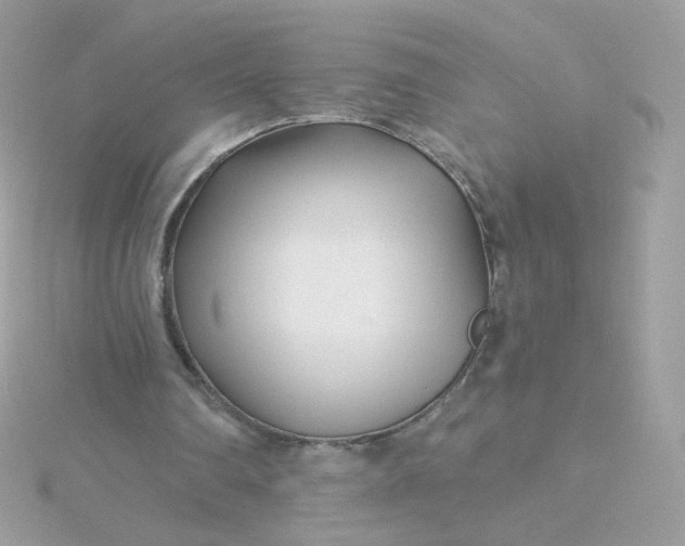 X0000115690290200911251819