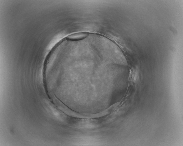 X0000115690292200911251819