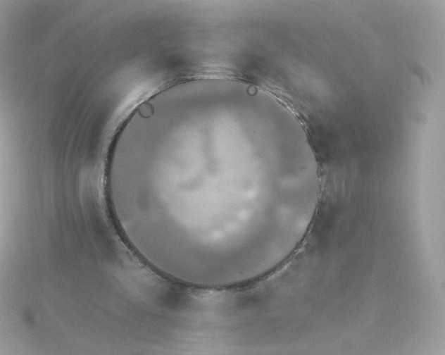 X0000115690293200911251819