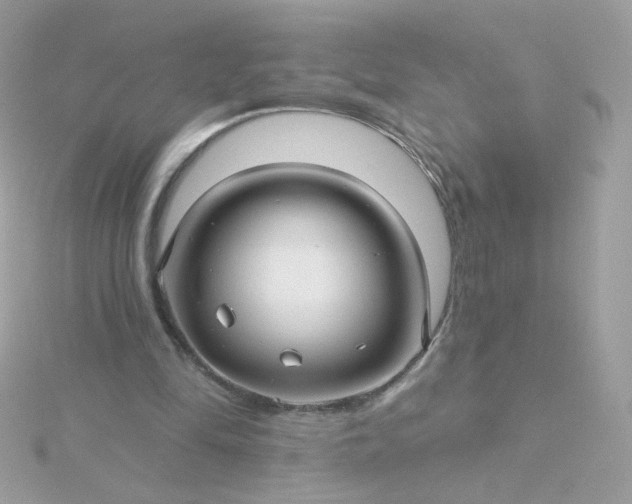 X0000115690294200911251819