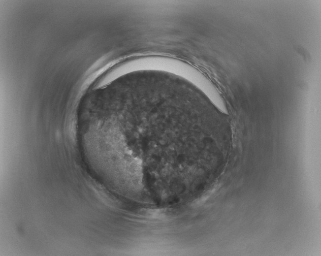 X0000115690295200911251819