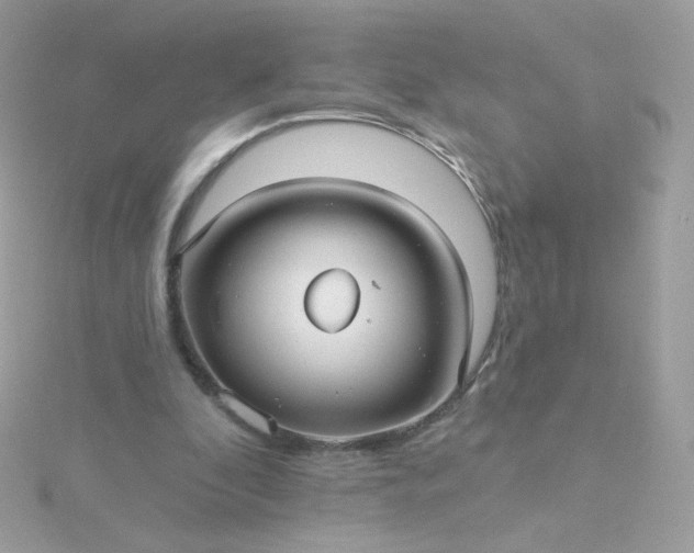 X0000115690296200911251818