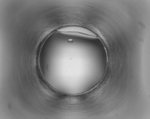 X0000115690299200911251818