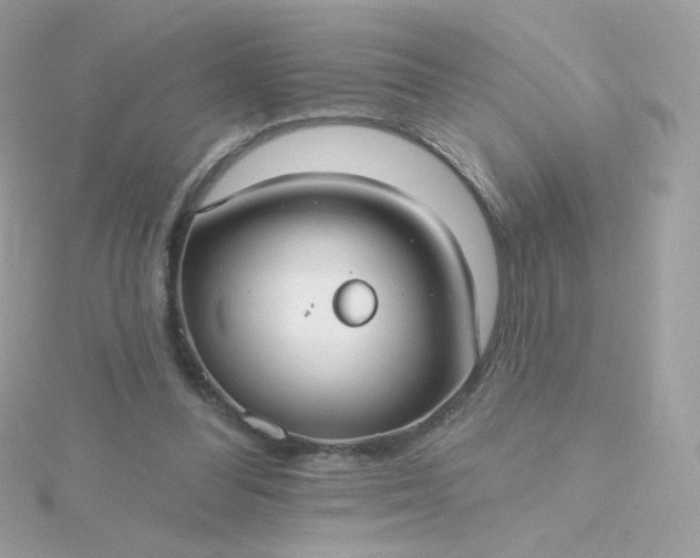 X0000115690300200911251818