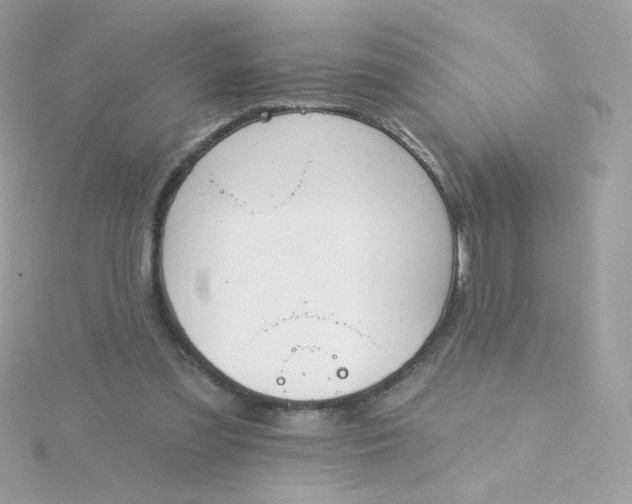 X0000115690301200911251818