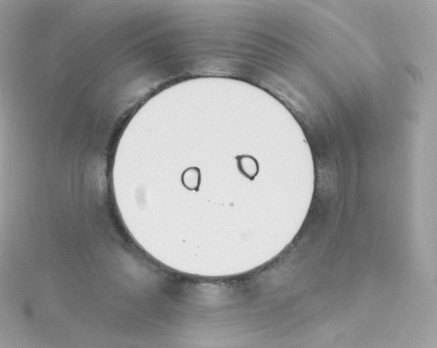 X0000115690302200911251818