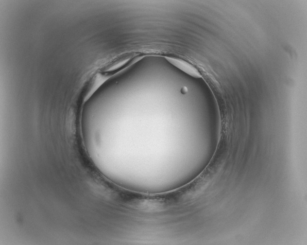 X0000115690303200911251818