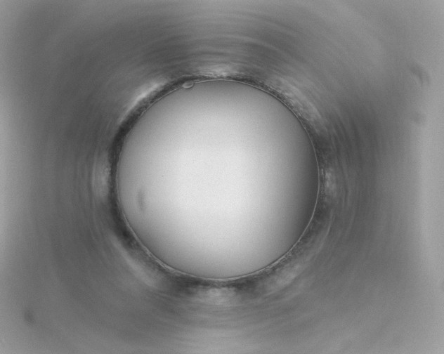 X0000115690304200911251818