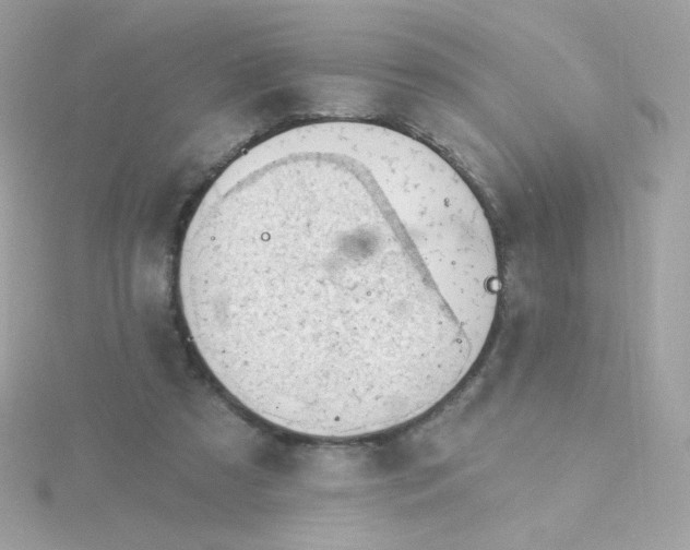 X0000115690305200911251818